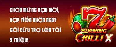 Hoàn Trả VIP Hàng Ngày Không Giới Hạn promotion